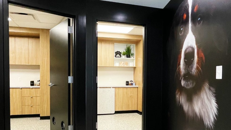 Best Vet Hospital In St. Louis, MO MetroVet St. Louis